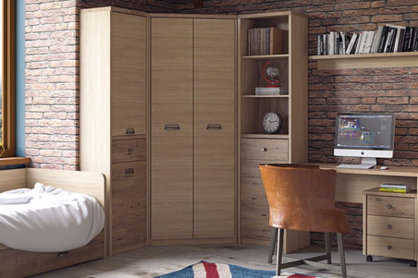 Фото Шкаф 2D1S/D1 Дизель (Diesel) от производителя Анрэкс в Феодосии по цене 16 500 ₽