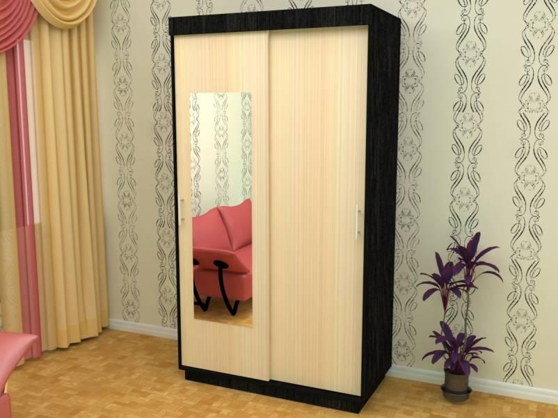 Фото Шкаф-купе ШОН-1 (2 двери) от производителя Пирамида в Феодосии по цене 16&nbsp;010 ₽