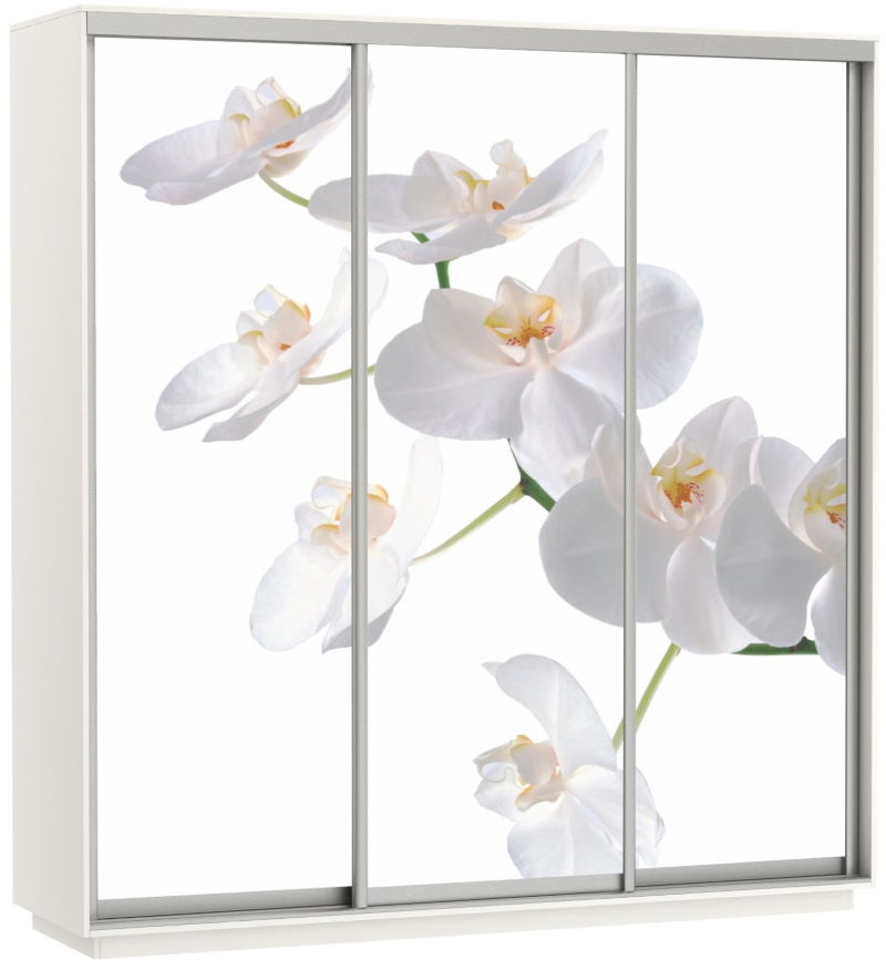 Фото Шкаф-купе Экспресс Трио Фото (2,4х0,6х2,4 - 3 двери) от производителя Мебельная компания Е1 в Феодосии по цене 63&nbsp;870 ₽