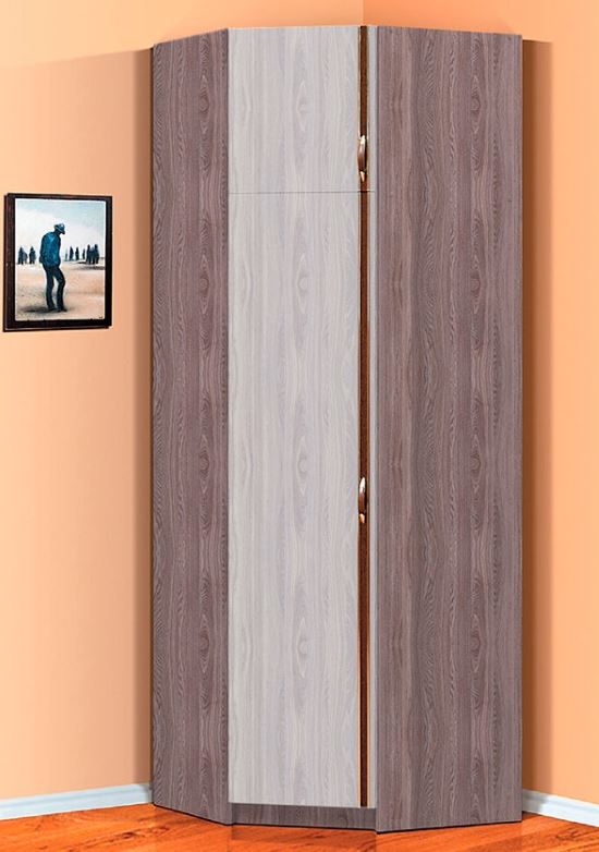 Фото Шкаф Флагман-5 (78) угловой  от производителя Фант-мебель в Феодосии по цене 10&nbsp;510 ₽